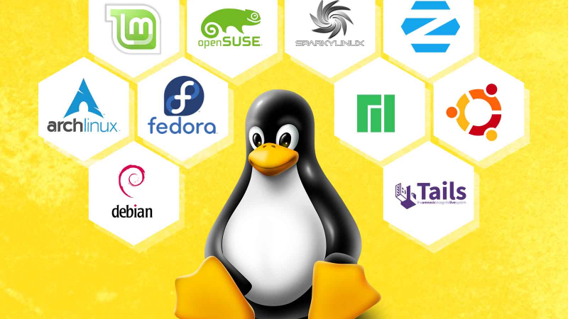The best Linux distributions for all types of users